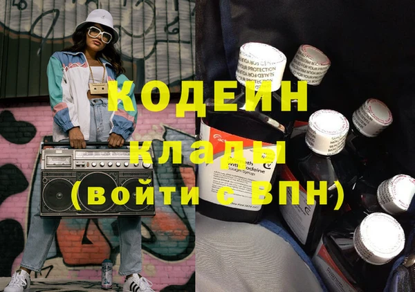 ПСИЛОЦИБИНОВЫЕ ГРИБЫ Арсеньев