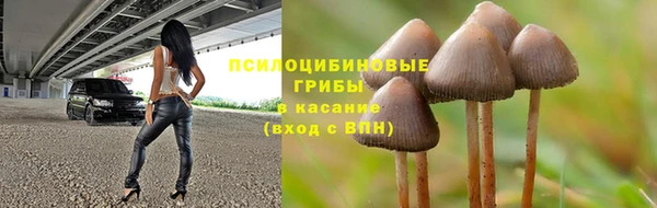 спайс Аркадак