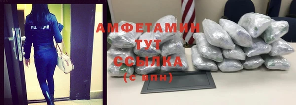 ПСИЛОЦИБИНОВЫЕ ГРИБЫ Арсеньев