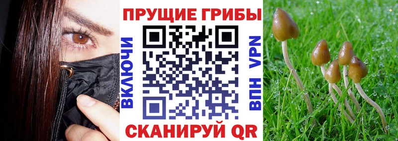 Галлюциногенные грибы мухоморы  Белокуриха 